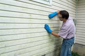 Best Vinyl Siding Installation  in Oak Hill, TN